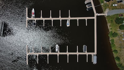 Optimización adaptativa del flujo metabólico para ingeniería de chasis microbianos eficientes