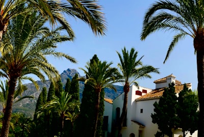 Custom Web Application in Marbella