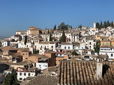 Agentes de IA a medida en Granada