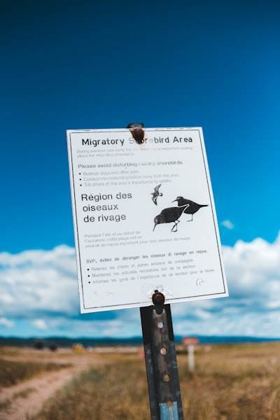 Administre con facilidad las migraciones de Laravel desde una interfaz web moderna

Administer Migrations of Laravel Easily with a Modern Web Interface