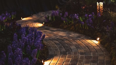 Por qué cambié de opinión sobre las luces inteligentes de colores