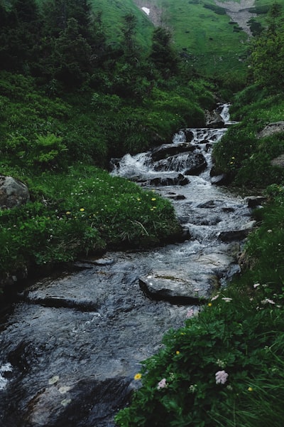 Flujo Multifidelidad: Refinamiento en Cascada de EDP