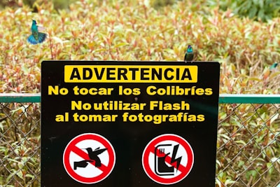 Los riesgos de seguridad en la inteligencia artificial