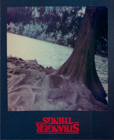 La nostalgia de los 80 regresa con el filtro VHS en Stranger Things