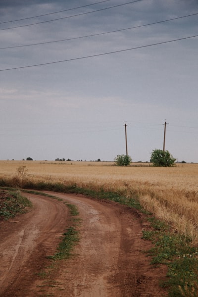 El financiamiento, no los cables, mantiene desconectadas las zonas rurales