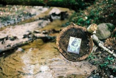 El impulso del dinero hacia la tecnología limpia