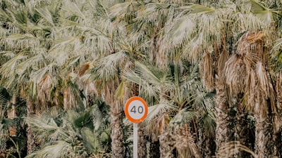Mejores empresas para compañero digital de IA en Elche