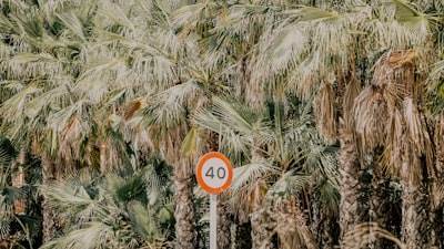 Top 20 empresas de automatización en Elche