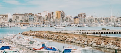 Mejores servicios de bots de Instagram en Torrevieja
