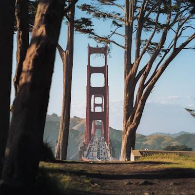 Estudio de animación en la costa oeste: Innovación creativa en California