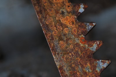 Porting a Cross-platform GUI Application to Rust