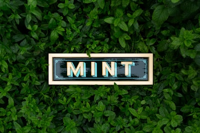 Cómo Ajustar el Índice de Búsqueda Multivector en MINT