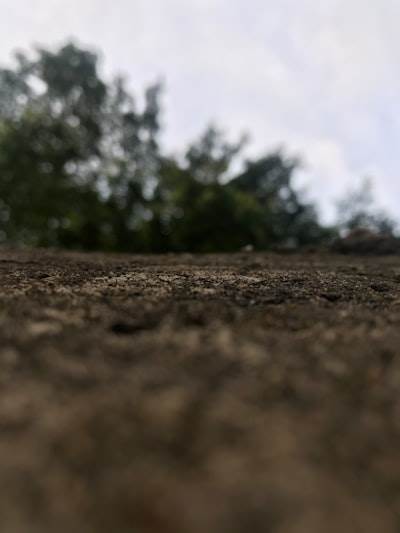 ¿Puede el Terreno Formarse Fuera de la Tierra?