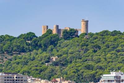 Mejores 5 empresas de inteligencia artificial en Castelldefels