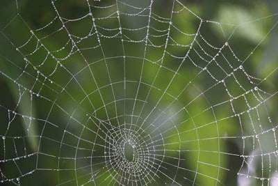 The Long-Term Vision Behind a Web Application