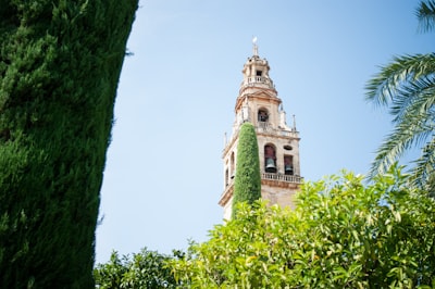 Mejores empresas de avatar de video en tiempo real en Córdoba
