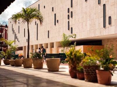 Servicios de inteligencia empresarial en Mérida