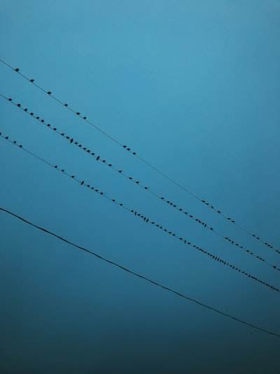 Review of Optus Mobile Network after Triple Zero Failures