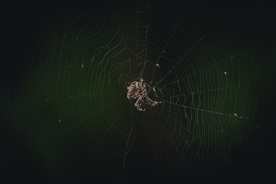 Creé una aplicación web AI desde cero como médico en ejercicio