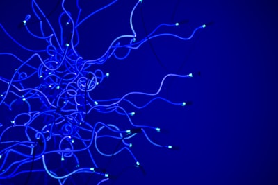 Migración de Implementaciones de Redes Neuronales
