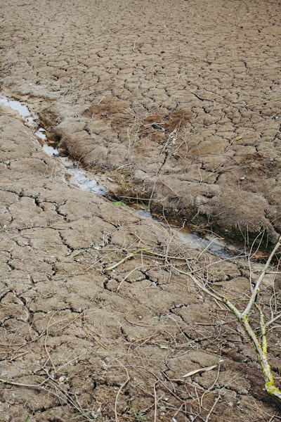 El marcado de agua como primitiva de monitoreo