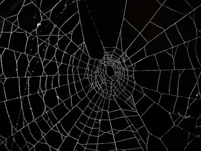 ¿Qué pasa si ocurre un fallo del sistema al crear una aplicación web?