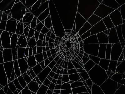 ¿Cómo se maneja una falla en el sistema en el desarrollo de software web a medida?