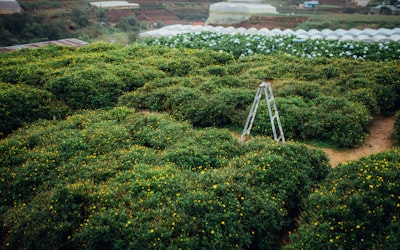Técnicas y aplicaciones avanzadas de LiDAR en agricultura