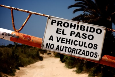 IA agentivo: el camino previsible hacia la IAG