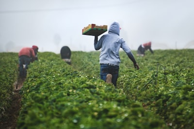 Acuerdo SBA-USDA: alivio regulatorio para pequeños agricultores
