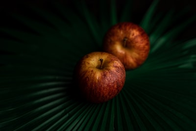 Síntesis de vista 3D de Apple's SHARP a partir de una sola imagen