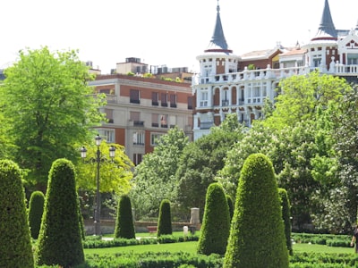 Principales expertos en desarrollo de API personalizadas en Madrid