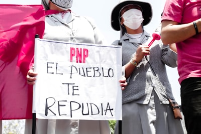 IA generativa y el auge de la auto-representación civil federal