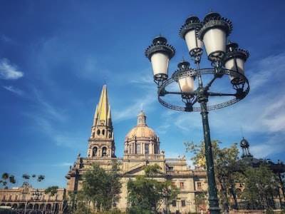 Los 5 expertos en bots de Instagram en Guadalajara