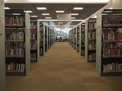 Bibliotecas PDF gratuitas vs comerciales: el verdadero costo