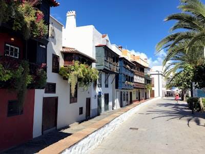 n8n para negocios en Palma