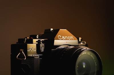 JSON Canonical Model