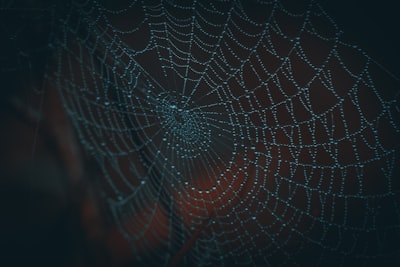 10 Consejos Esenciales para Navegar en la Dark Web