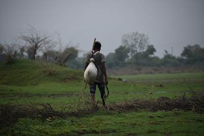Por qué entrena IA en India rural
