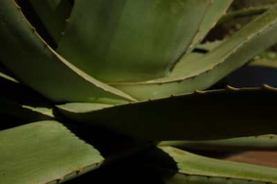Top 15 Compañías en Granada para automatizar el control de calidad de la producción