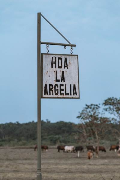 La mejor manera de encontrar servicios de desarrollo de IA en Águilas