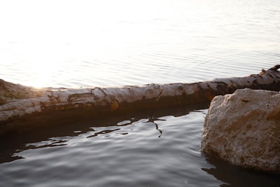 Construya un lago de registros entre empresas personalizable con Amazon Bedrock