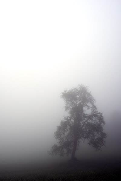 Cómo un momento de 'niebla cerebral' en vivo inició un gran debate