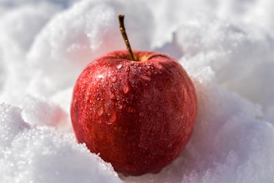 Adopta el enfoque "Snow Leopard" en las actualizaciones de Apple