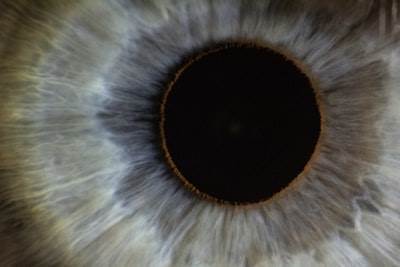 Explorando a través de los ojos de Jano