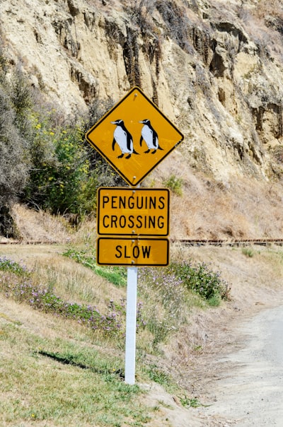 Why is distro hopping inevitable for many users?