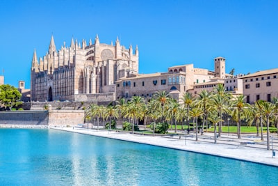 Los 5 mejores especialistas en aplicaciones de informes personalizados en Palma
