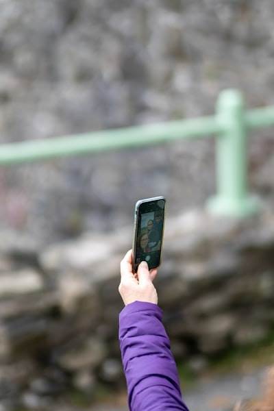 Aplicación móvil en Eibar