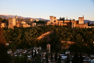 Servicios de animación de IA en Granada