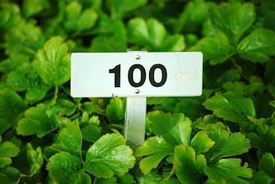 Top 100 Expertos en IA AGENCY en Algeciras